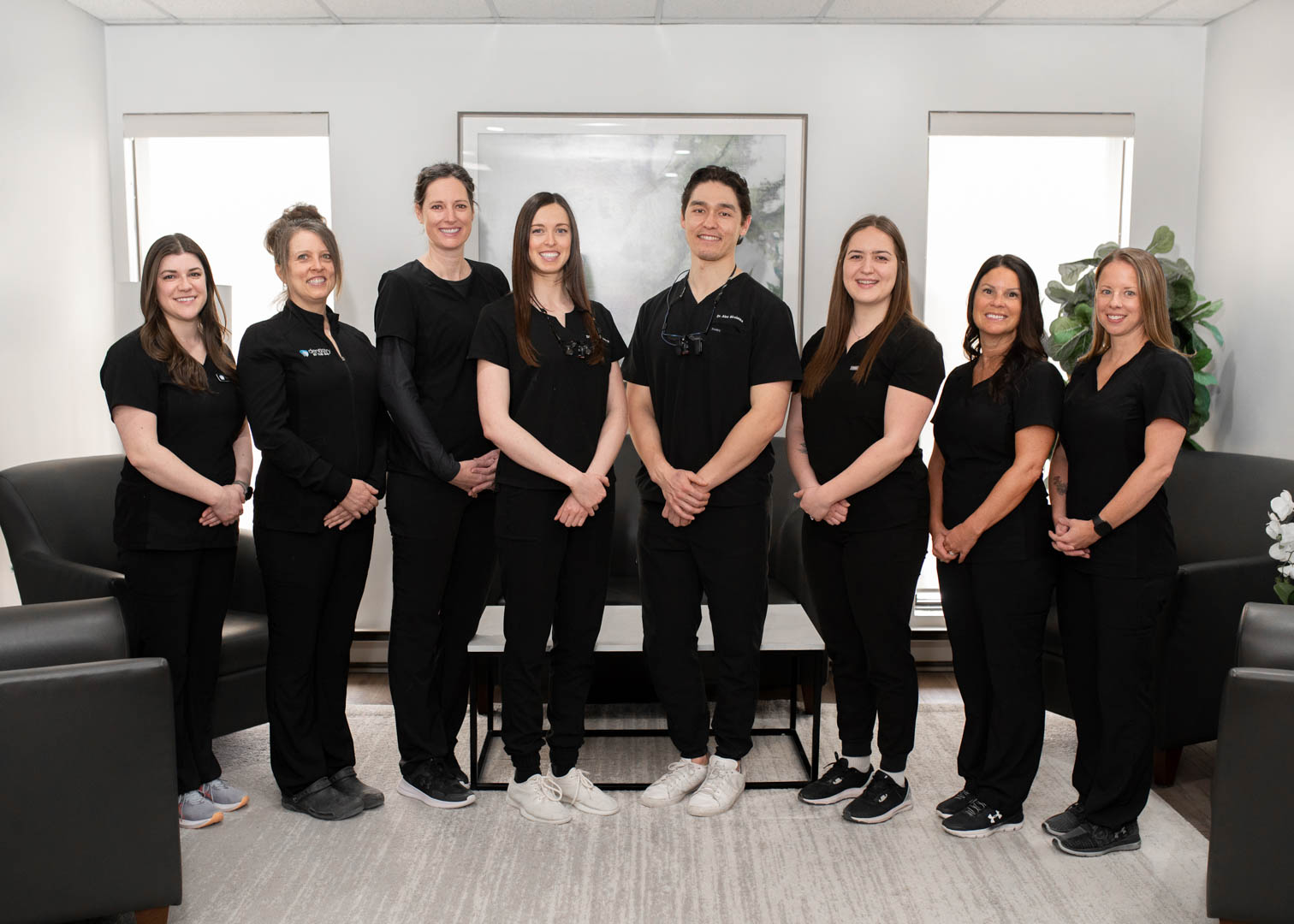 Meet the Team